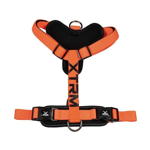 Arnés Naranja Nayeco X-TRM para Perros Pequeños y Cachorros | Ajustable y Cómodo