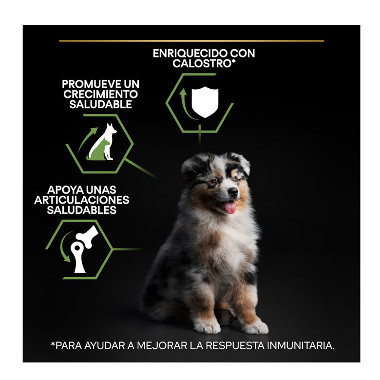 Purina PRO PLAN Puppy Medium Pollo y Calostro | Cachorro mediano 3Kg - Imagen 3