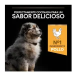 Purina PRO PLAN Puppy Medium Pollo y Calostro | Cachorro mediano 3Kg - Imagen 6