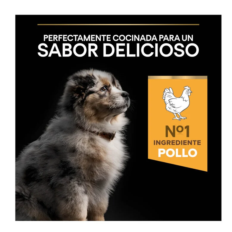 Purina PRO PLAN Puppy Medium Pollo y Calostro | Cachorro mediano 3Kg - Imagen 6
