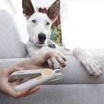 Cortaúñas con LED para Mascotas Clipet InnovaGoods - Imagen 5