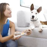 Cortaúñas con LED para Mascotas Clipet InnovaGoods - Imagen 6