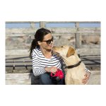Correa para Perro Flexi NEW CLASSIC - Imagen 2