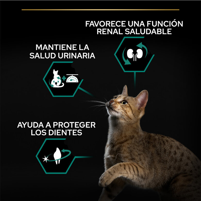 Purina PRO PLAN Sterilised Pavo 1,5 kg – Gatos Esterilizados Adultos Renal Plus - Imagen 2