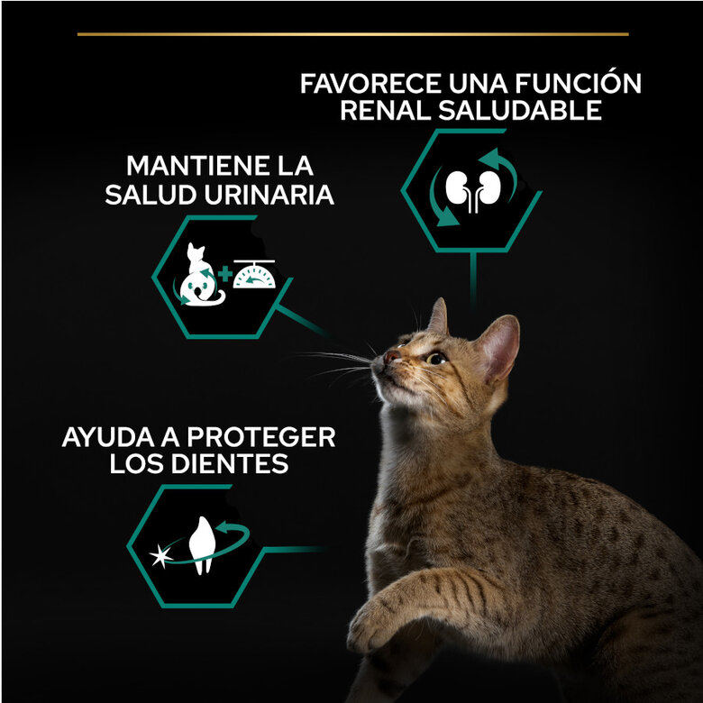 Purina PRO PLAN Sterilised Salmón 1,5 kg – Gatos Esterilizados Adultos Renal Plus - Imagen 2
