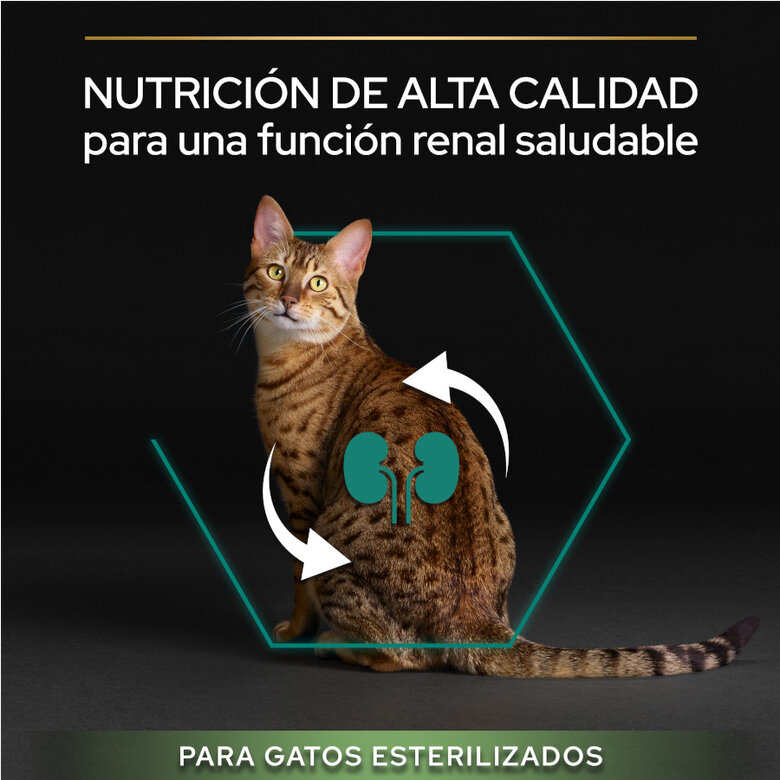 Purina PRO PLAN Sterilised Salmón 1,5 kg – Gatos Esterilizados Adultos Renal Plus - Imagen 5