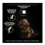 Purina PRO PLAN Puppy Small & Mini con Pollo y Calostro | Cachorro Pequeño 3Kg - Imagen 6
