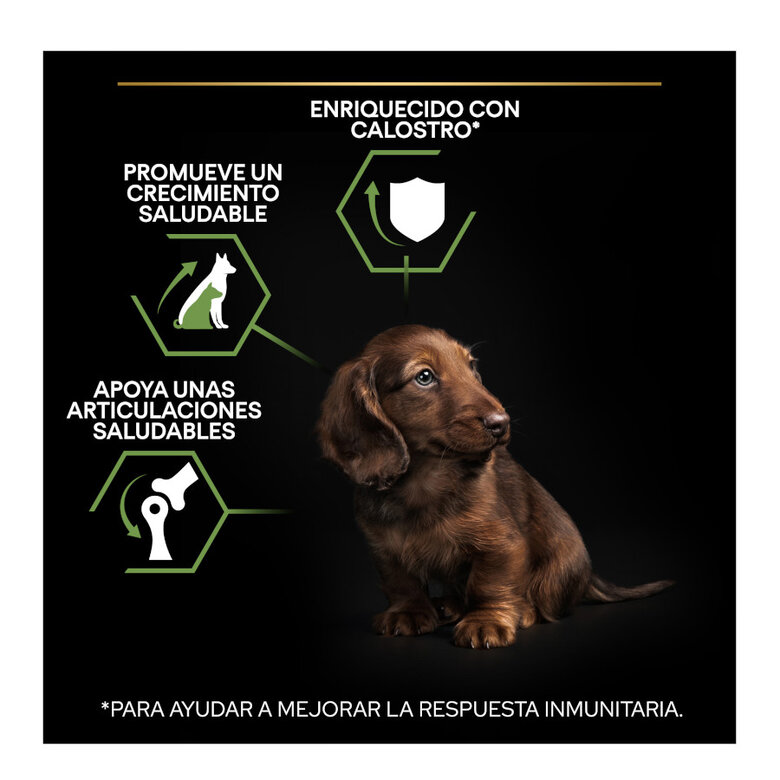 Purina PRO PLAN Puppy Small & Mini con Pollo y Calostro | Cachorro Pequeño 3Kg - Imagen 6