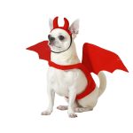 Disfraz de Demonio para Perros – Alas y Cuernos Rojos de Halloween | Ropa Cómoda y Divertida para Mascotas