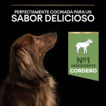 Purina PRO PLAN Adult Small & Mini Cordero – Digestión Sensible Adulto Pequeño 3Kg - Imagen 6