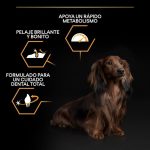 Purina PRO PLAN Small & Mini Pollo – Adultos Pequeños 700g - Imagen 3