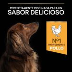 Purina PRO PLAN Small & Mini Pollo – Adultos Pequeños 700g - Imagen 6