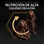 Purina PRO PLAN Small & Mini Pollo – Adultos Pequeños 700g - Imagen 7