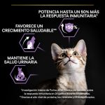 Purina PRO PLAN Kitten Pollo 1.5 kg – Gatitos con Calostro | Cachorros - Imagen 3