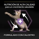 Purina PRO PLAN Kitten Pollo 1.5 kg – Gatitos con Calostro | Cachorros - Imagen 5