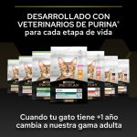 Purina PRO PLAN Kitten Pollo 1.5 kg – Gatitos con Calostro | Cachorros - Imagen 6