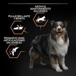 Purina PRO PLAN Medium Adult Pollo – Perros Adultos Medianos 3Kg - Imagen 3