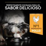 Purina PRO PLAN Medium Adult Pollo – Perros Adultos Medianos 3Kg - Imagen 6
