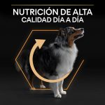 Purina PRO PLAN Medium Adult Pollo – Perros Adultos Medianos 3Kg - Imagen 7