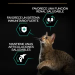 Purina Pro Plan Derma Care con Salmón 3 kg – Pienso para Gatos Adultos Dermatológico - Imagen 3