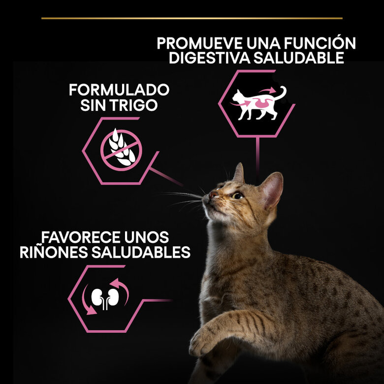 Purina Pro Plan Delicate Digestion con Pavo 1.5 kg – Pienso para Gatos Adultos con Digestión Sensible - Imagen 2
