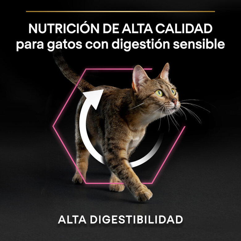 Purina Pro Plan Delicate Digestion con Pavo 1.5 kg – Pienso para Gatos Adultos con Digestión Sensible - Imagen 5