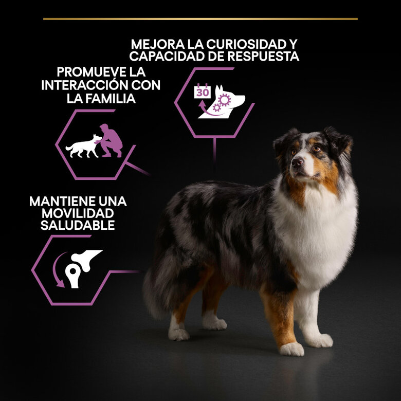 Purina PRO PLAN +7 años | Pollo 3 kg – Perros Senior Medianos y Grandes - Imagen 3