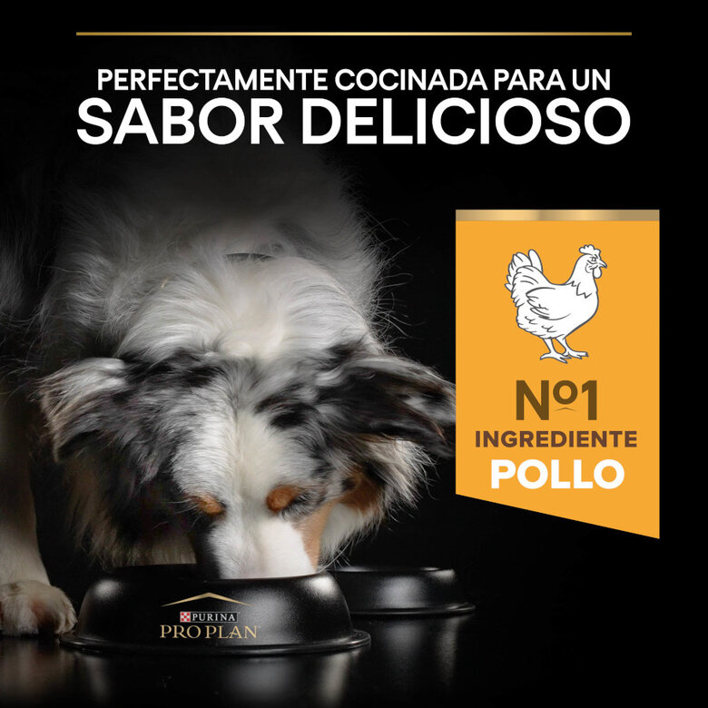 Purina PRO PLAN +7 años | Pollo 3 kg – Perros Senior Medianos y Grandes - Imagen 7