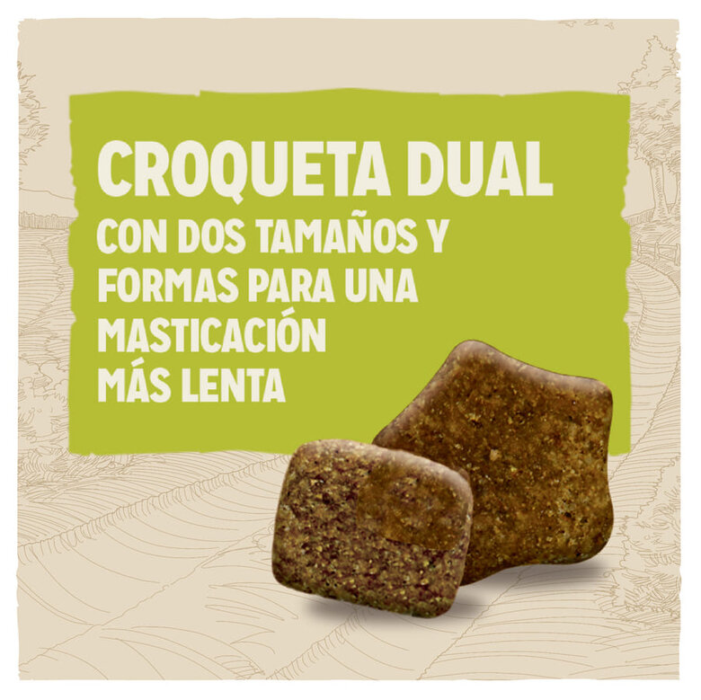 Dog Chow Adult Lamb Perros Adultos Todas las Razas Cordero 14Kg - Imagen 2
