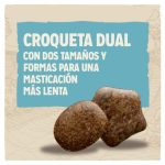 Dog Chow Puppy Pollo Cachorros y Adultos Mini 2,5Kg - Imagen 2